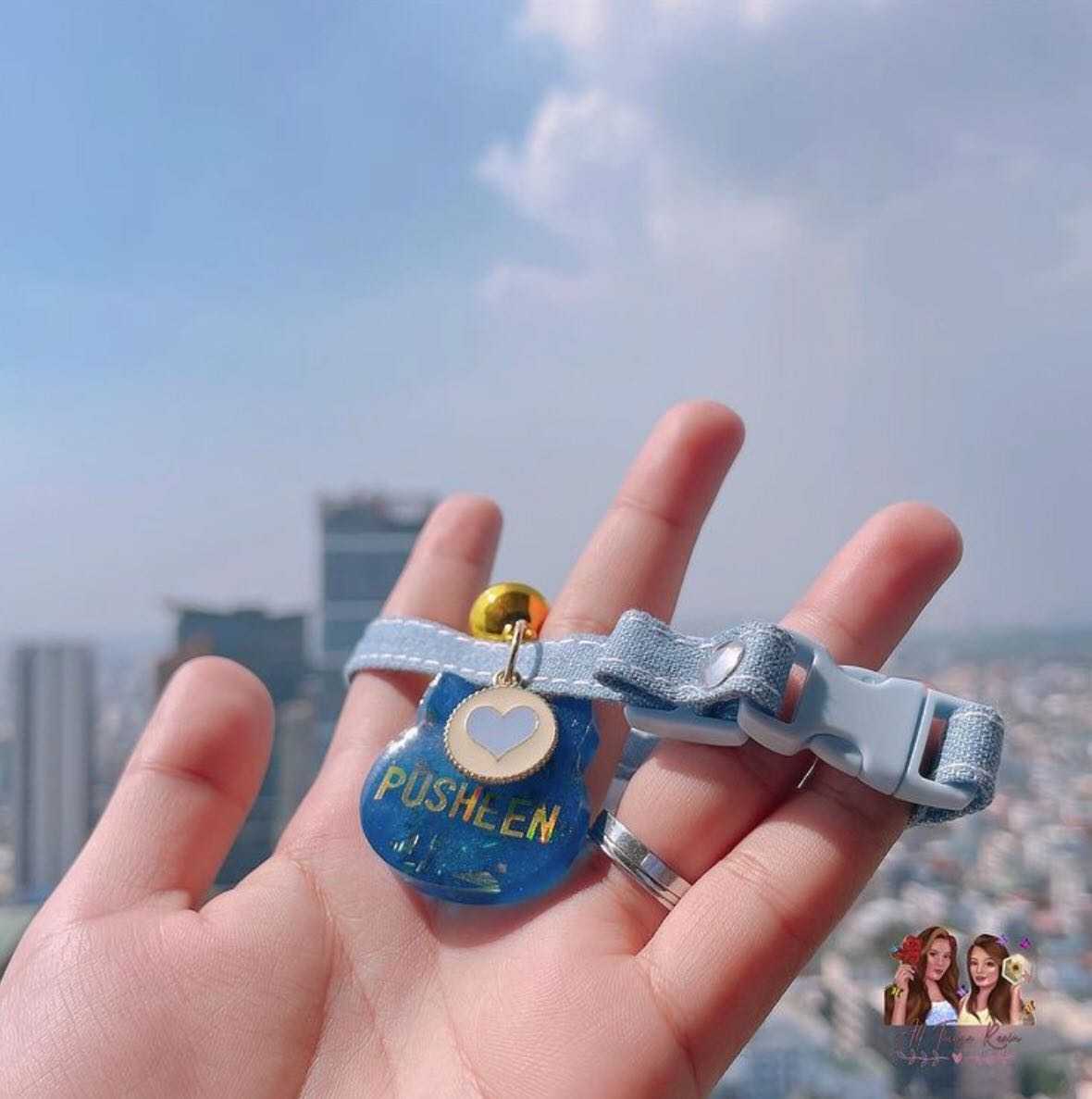 custom cat tag (with collar and charm)